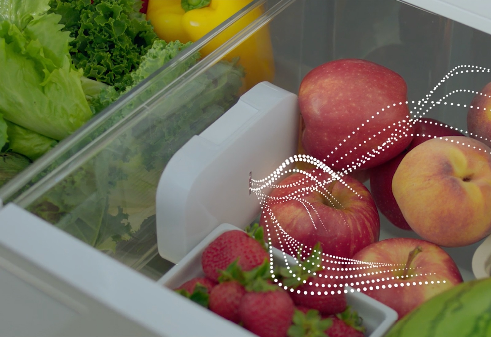 Bosch Fresh by Design Refrigerator